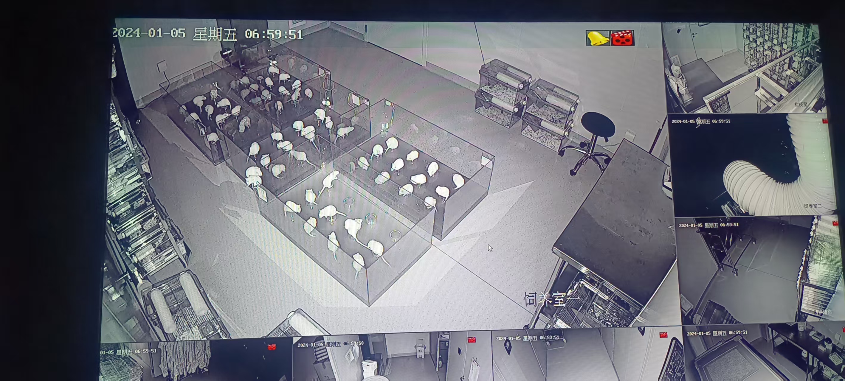 动物行为学检测系统