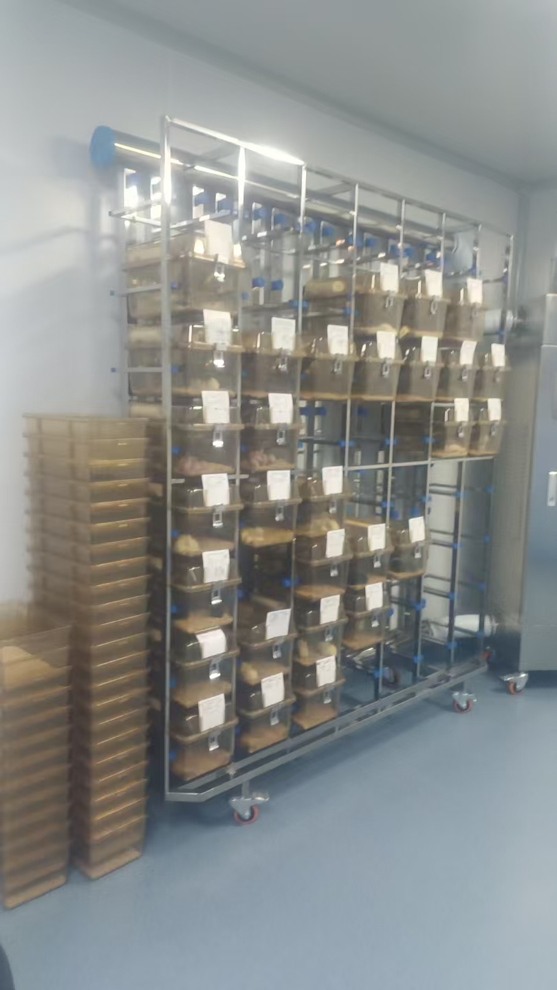 IVC 动物饲养系统