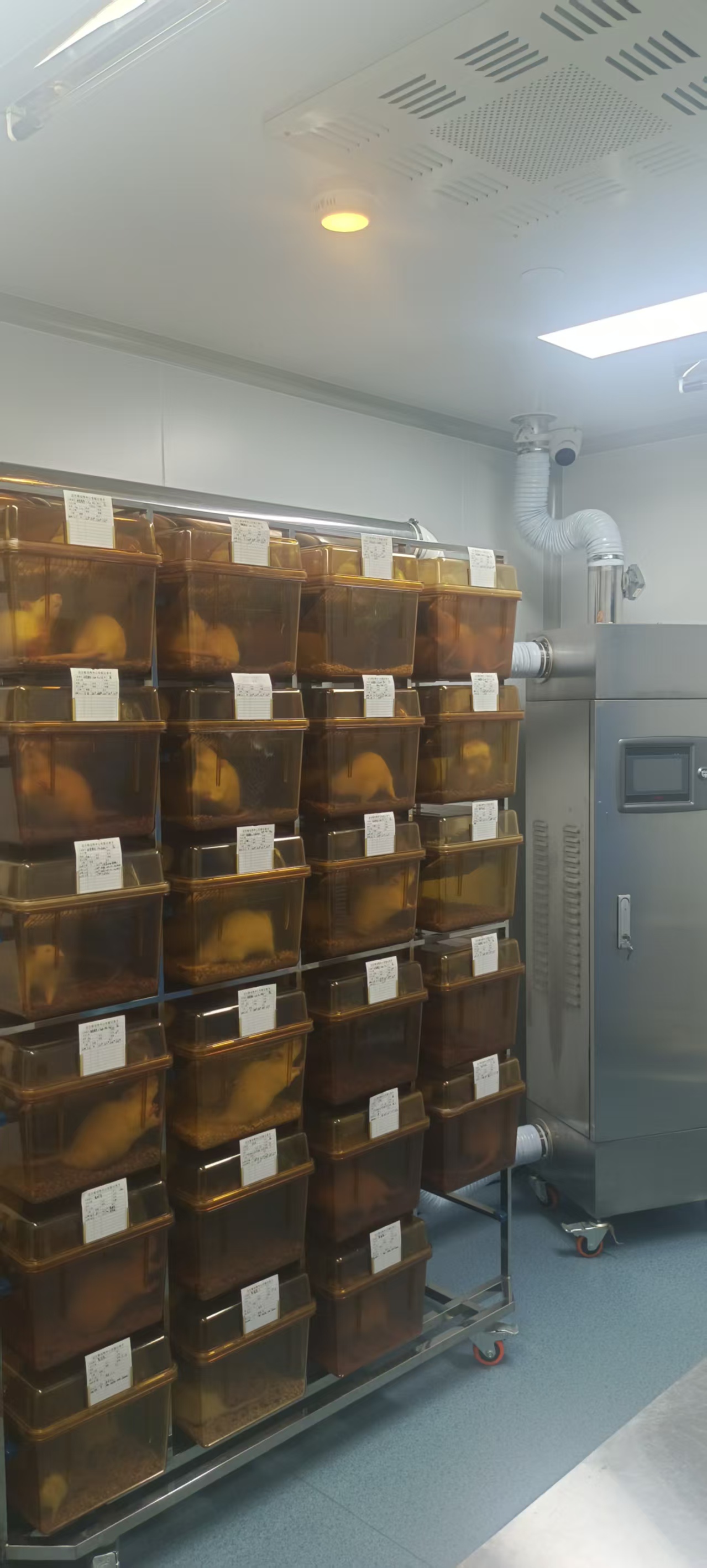 实验动物核销代购